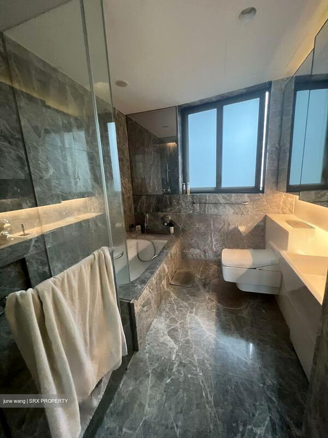 Cairnhill Nine (D9), Apartment #462660411